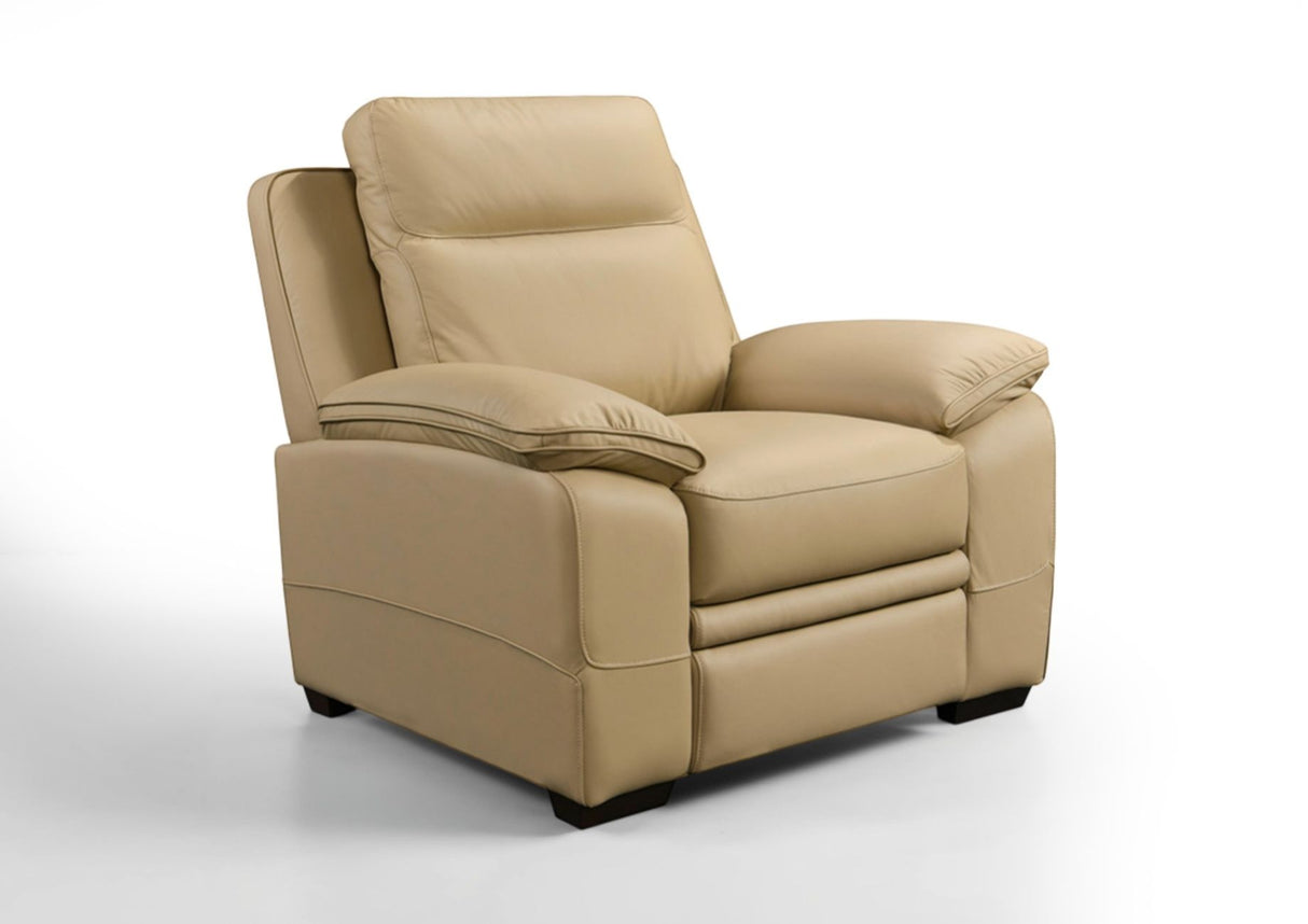 Mont Blanc Leather Armchair