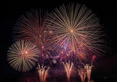 NCF Living News: A 2025 Retrospective