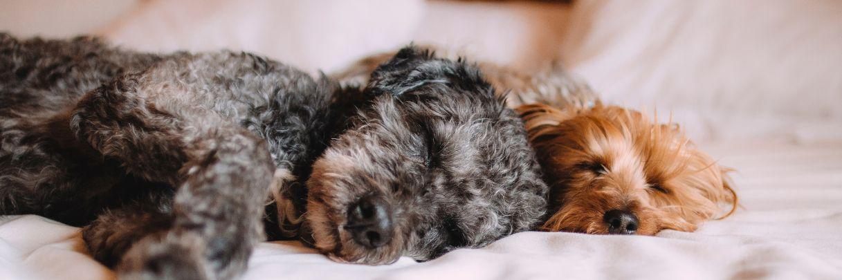 Super King Size Beds