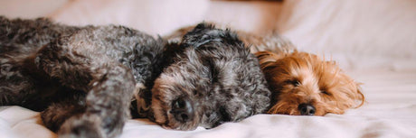 Super King Size Beds
