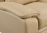 Mont Blanc Leather Armchair
