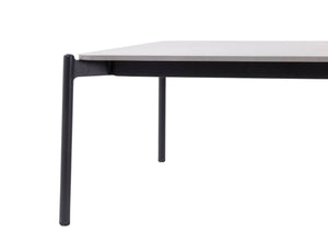 Ambience Garden Coffee Table