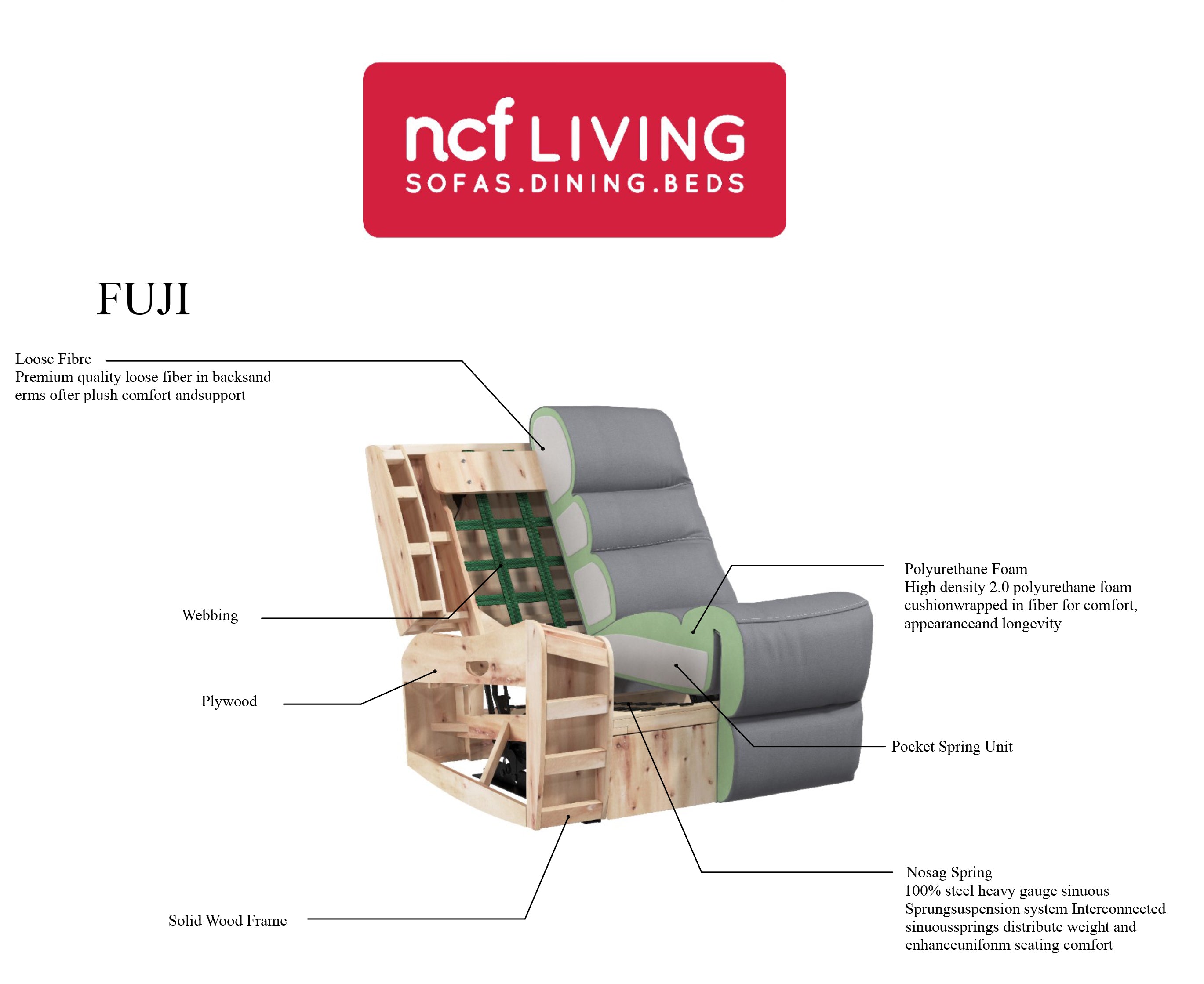 Fuji Armchair with Power Recliner, Power Headrest, USB & USC