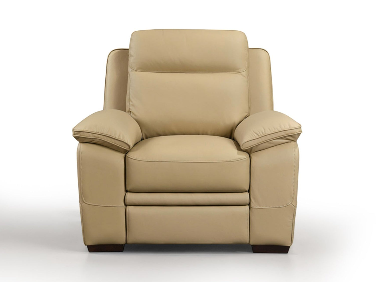Mont Blanc Leather Armchair
