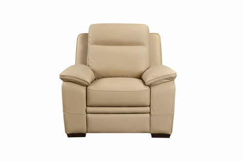 Front view of the Mont Blanc Leather Armchair