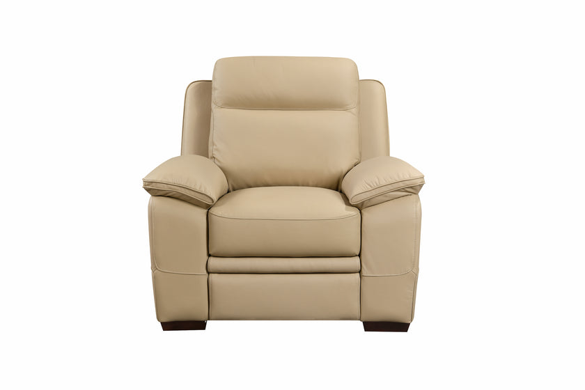 Front view of the Mont Blanc Leather Armchair