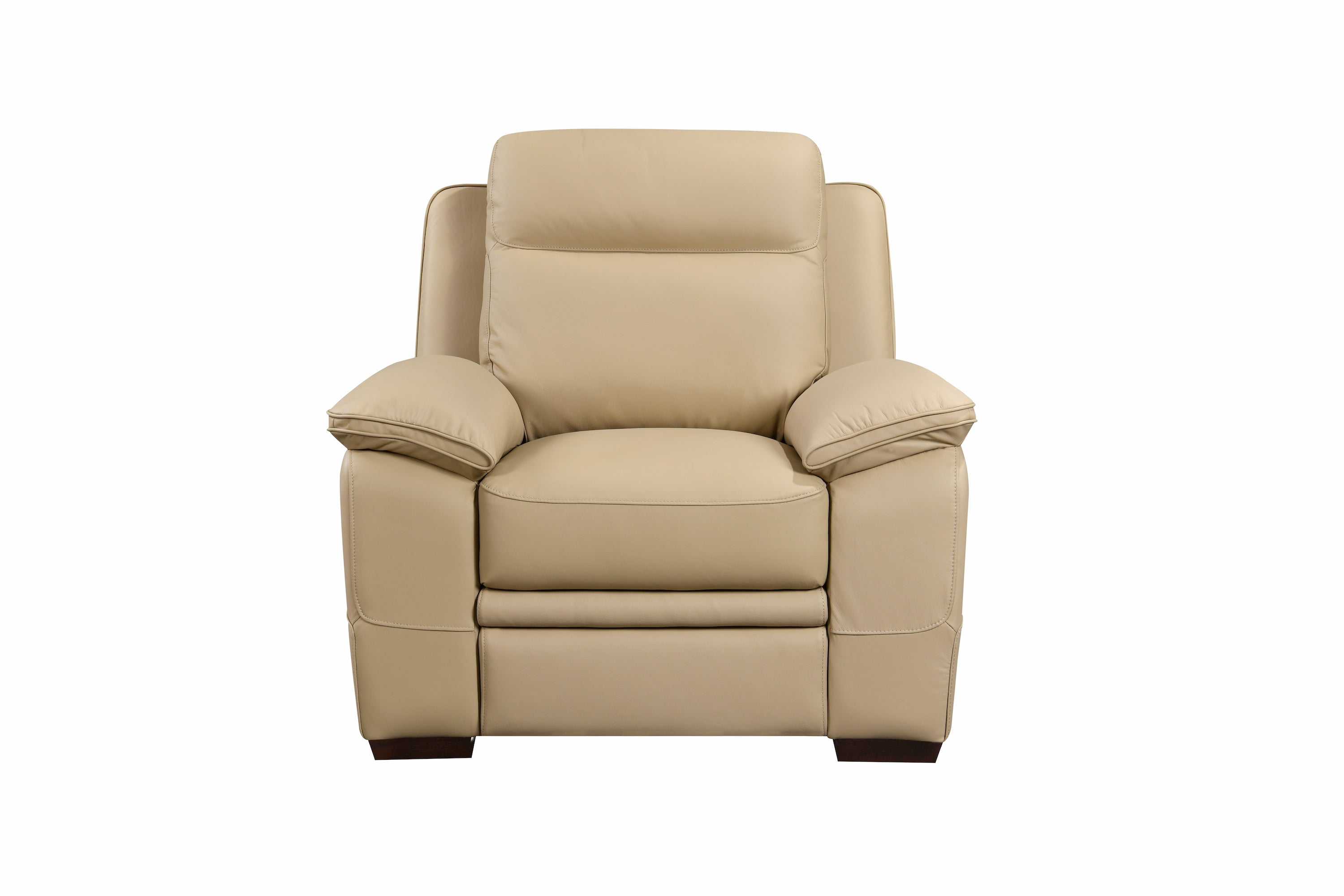 Mont Blanc Leather Armchair
