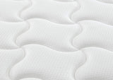 Ortho Comfort Mattress