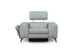 Ricardo Chair Power Recliner with Power Headrest