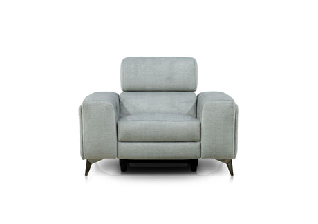 Ricardo Chair Power Recliner with Power Headrest