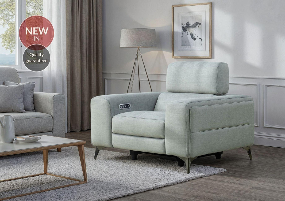 Ricardo Chair Power Recliner with Power Headrest