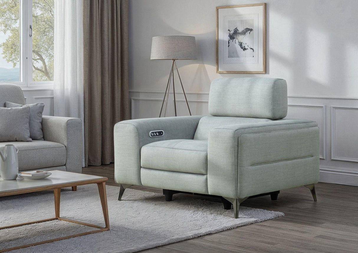 Ricardo Chair Power Recliner with Power Headrest