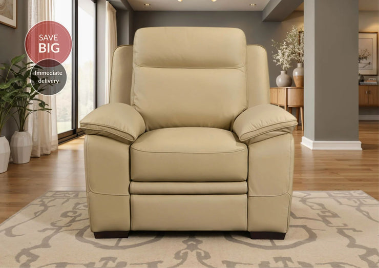 Mont Blanc Leather Armchair