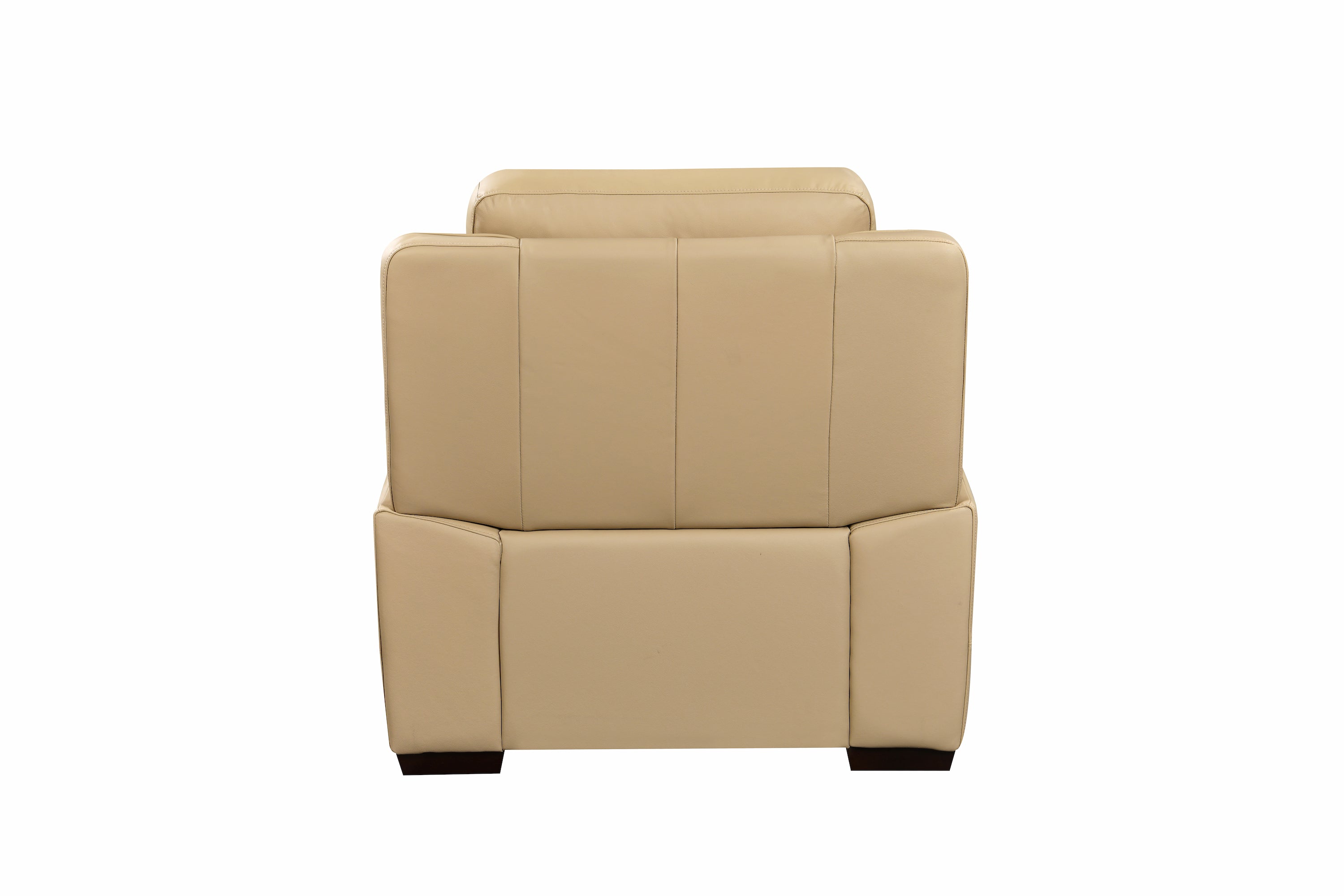Mont Blanc Leather Armchair